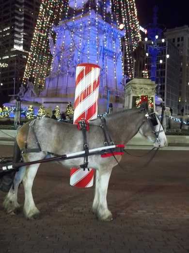 Carriage rides in Indianapolis