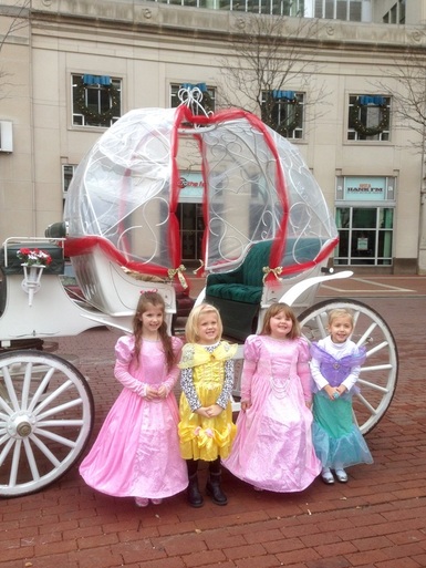 Horse Carriage ride for kids
